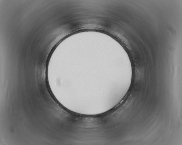 X0000113961322200909251352
