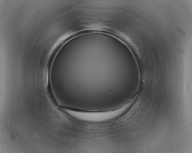 X0000113961323200909251352