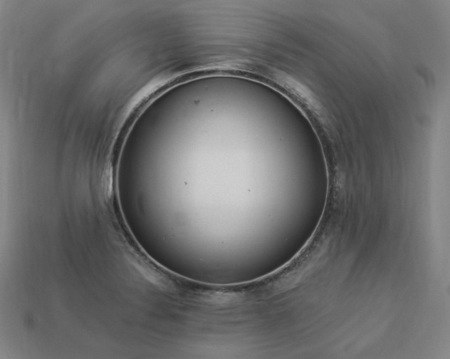 X0000113961324200909251352