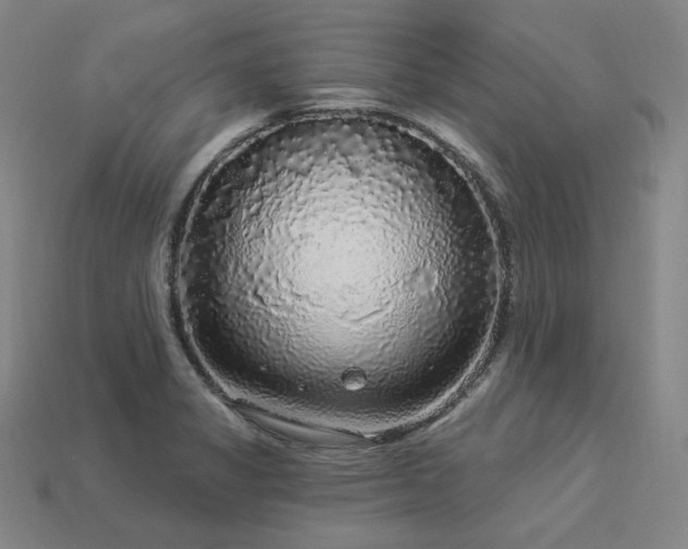 X0000113961325200909251352