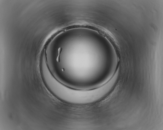 X0000113961326200909251352
