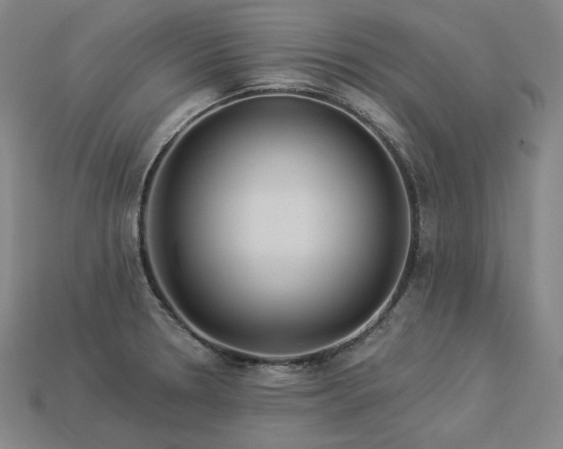 X0000113961330200909251352