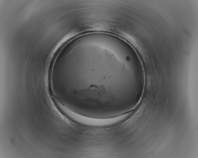 X0000113961331200909251352