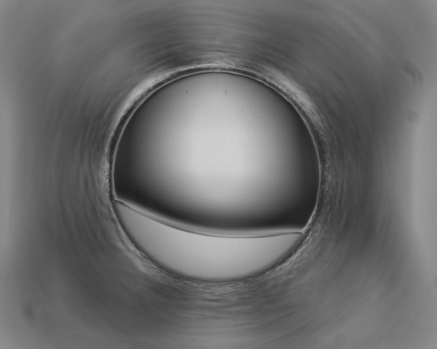 X0000113961332200909251352