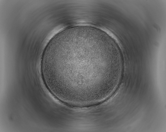 X0000113961333200909251352