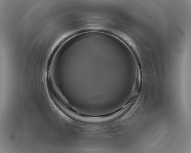 X0000113961334200909251352