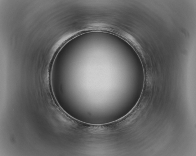 X0000113961336200909251352