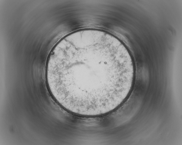 X0000113961338200909251352