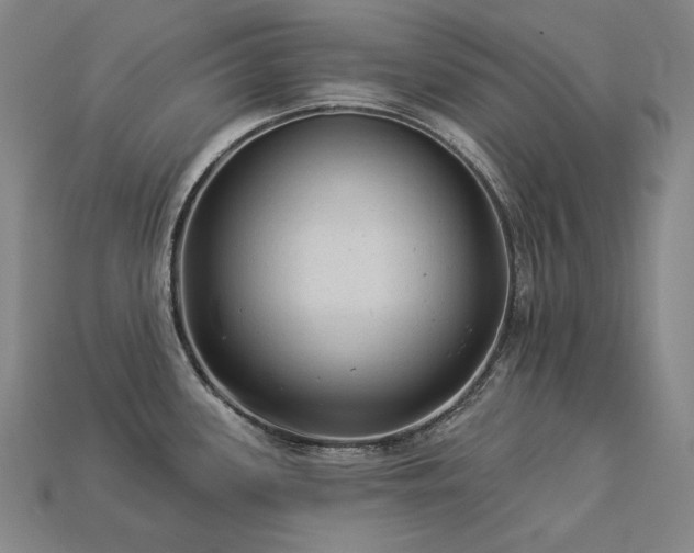 X0000113961339200909251352