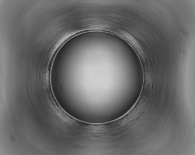 X0000113961340200909251352