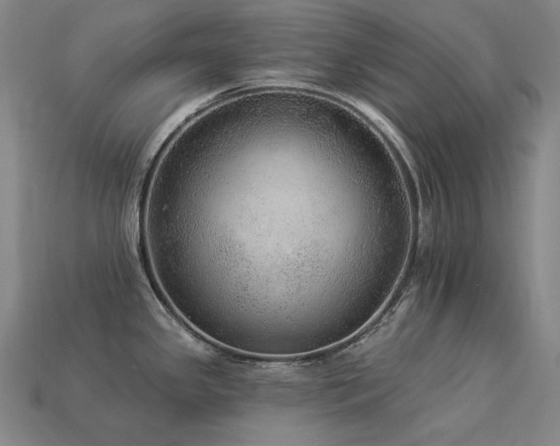 X0000113961341200909251352