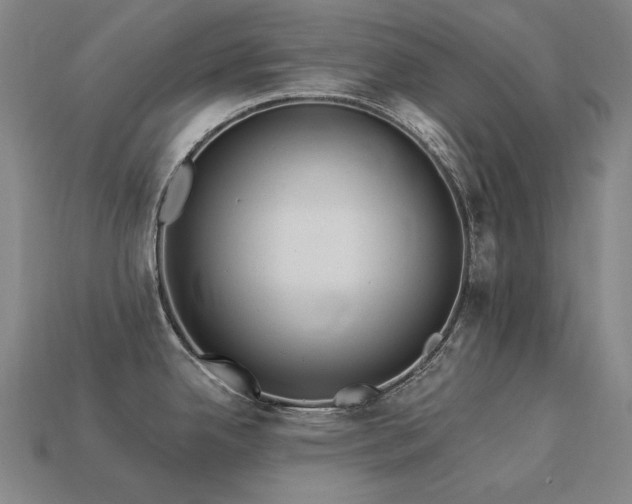 X0000113961342200909251352