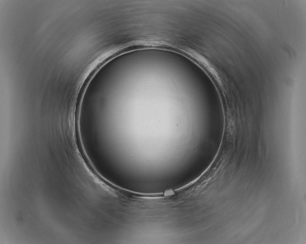 X0000113961343200909251352