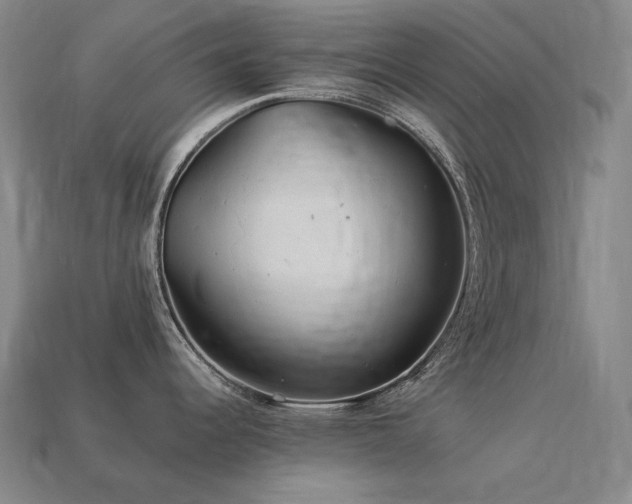 X0000113961344200909251352
