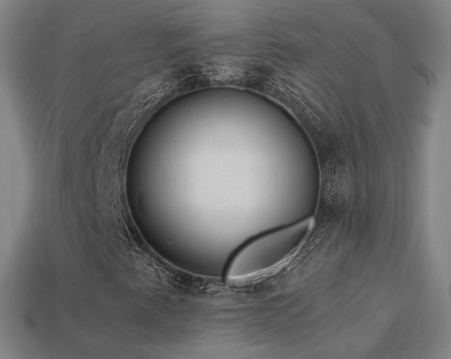 X0000113961345200909251351