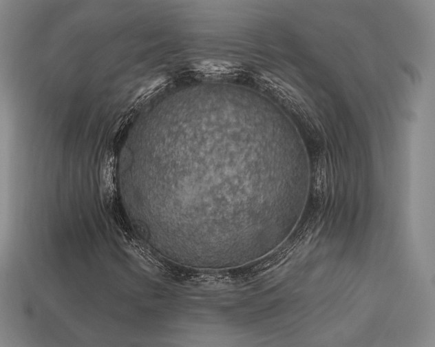 X0000113961346200909251351