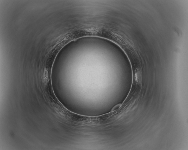 X0000113961347200909251351