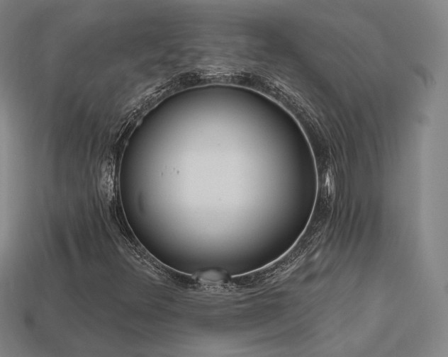 X0000113961348200909251351