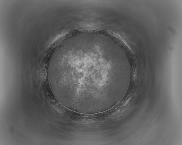 X0000113961350200909251351