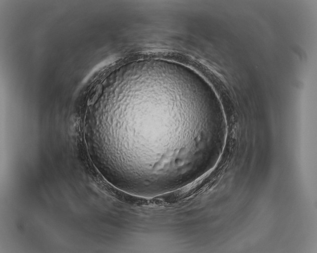 X0000113961351200909251351