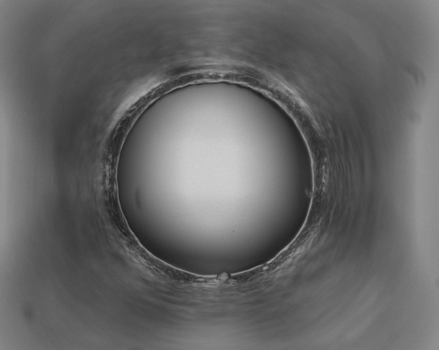 X0000113961352200909251351