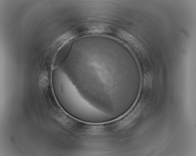 X0000113961353200909251351