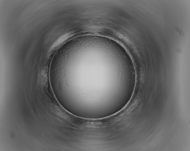 X0000113961354200909251351