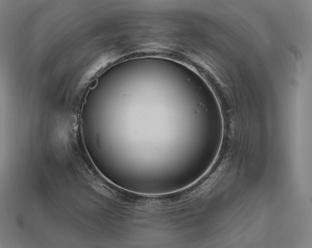 X0000113961355200909251351
