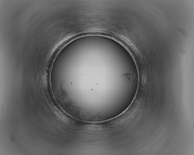 X0000113961356200909251351