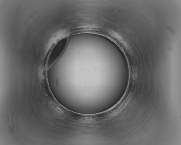X0000113961357200909251351