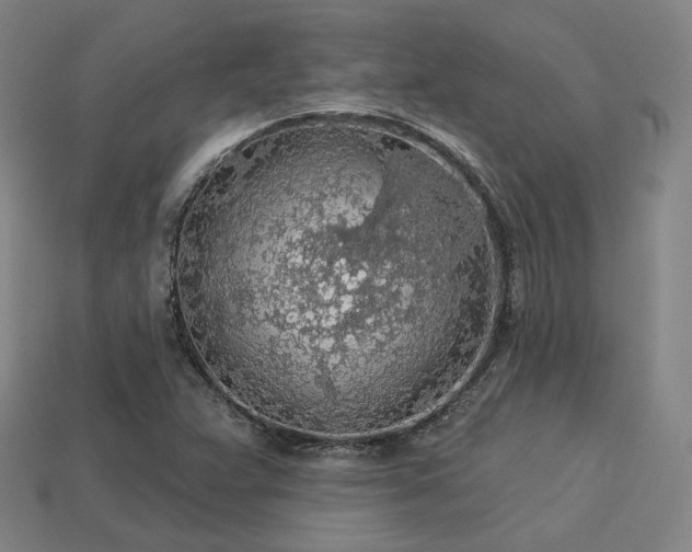 X0000113961359200909251351