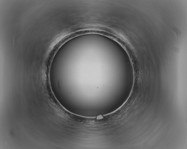 X0000113961360200909251351