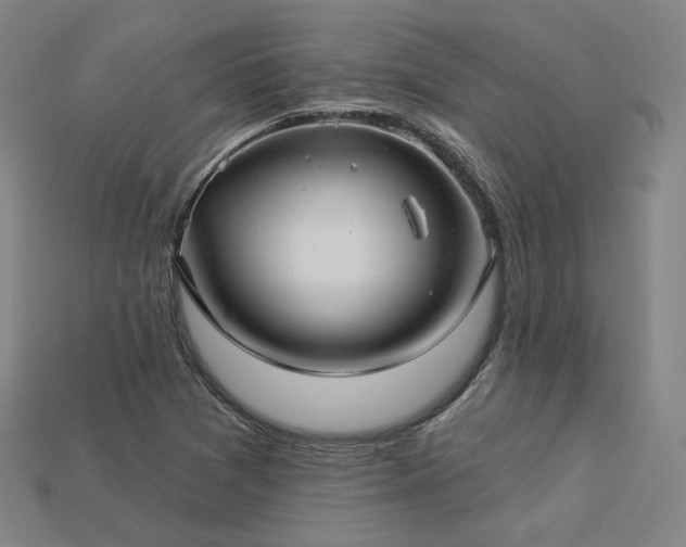 X0000113961361200909251351