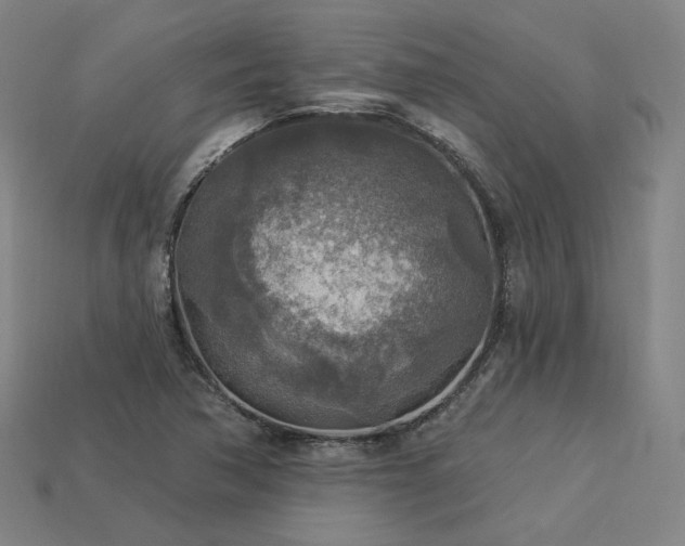 X0000113961362200909251351