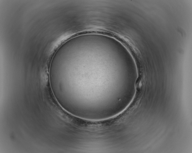 X0000113961363200909251351