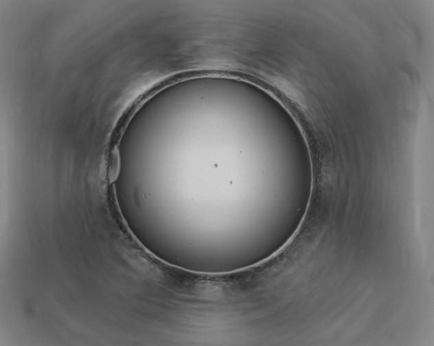 X0000113961364200909251351
