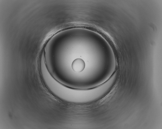 X0000113961365200909251351