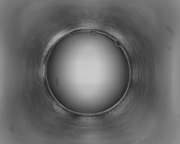 X0000113961366200909251351