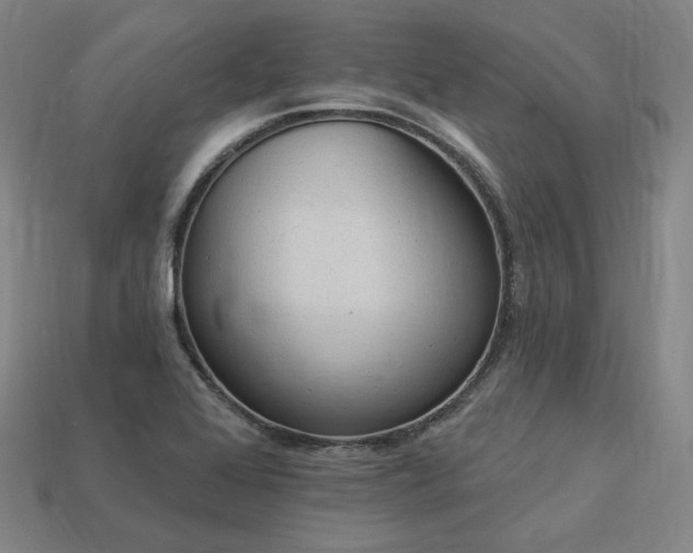 X0000113961368200909251351