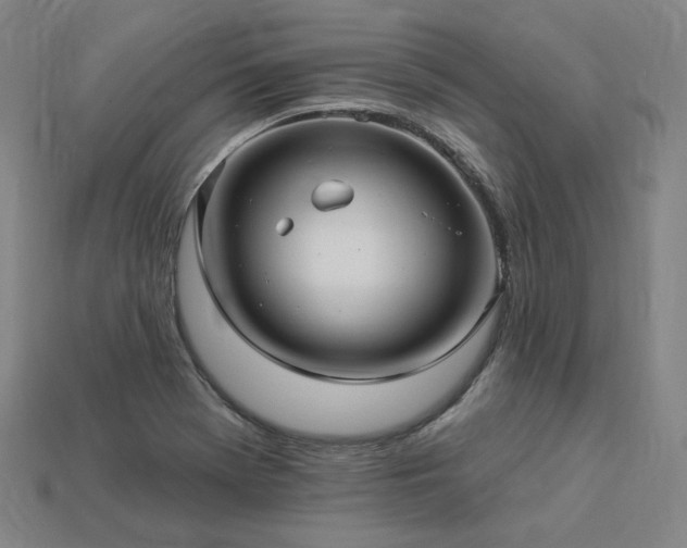 X0000113961369200909251351