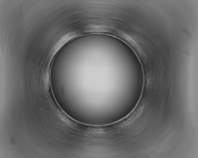 X0000113961370200909251351