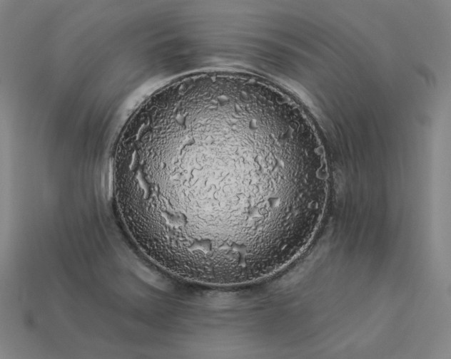 X0000113961371200909251351