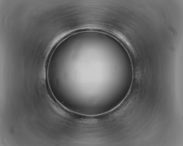 X0000113961372200909251351