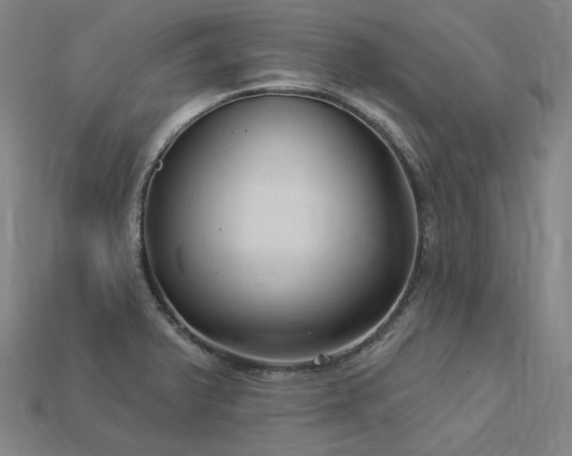 X0000113961375200909251351