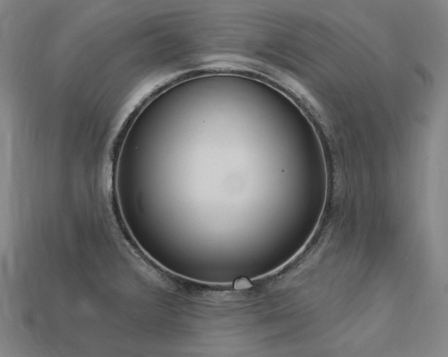 X0000113961376200909251351