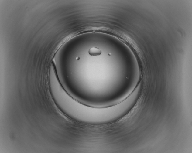 X0000113961377200909251351