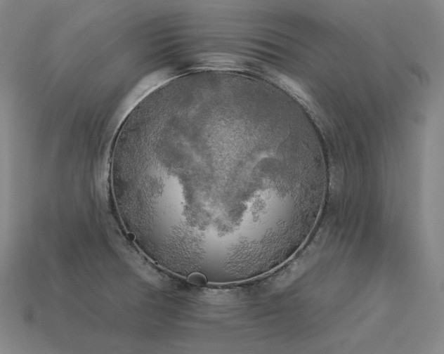 X0000113961378200909251351