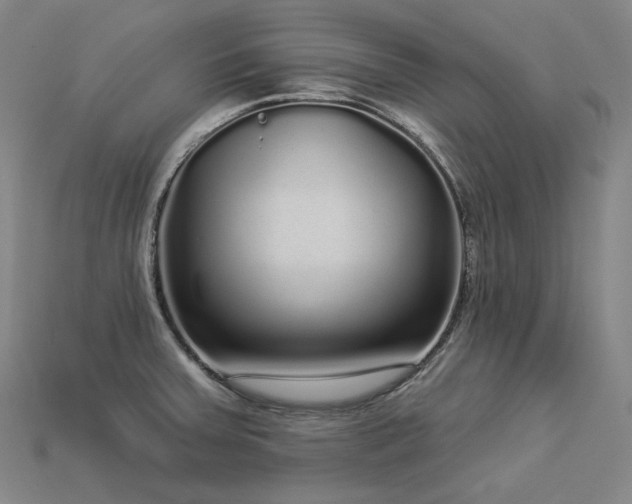 X0000113961379200909251351