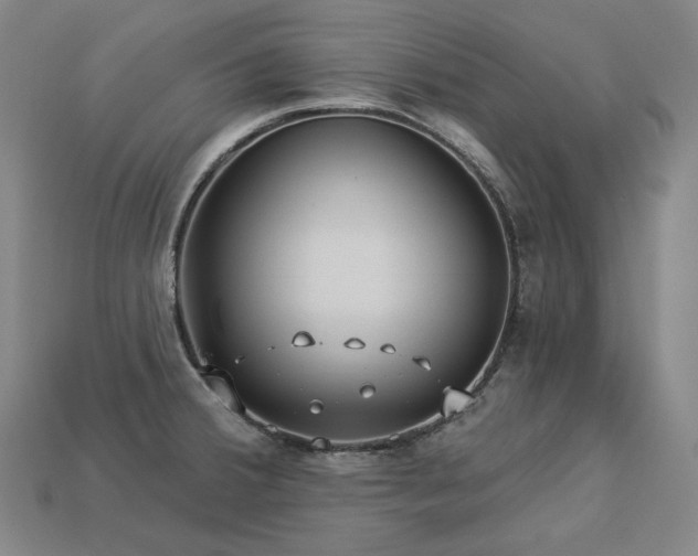 X0000113961380200909251351