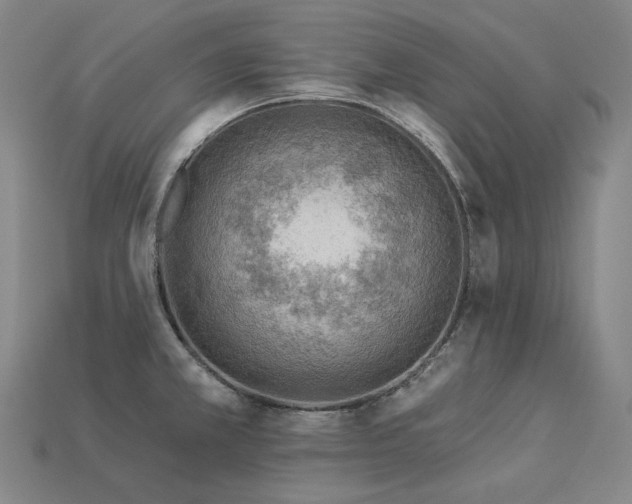 X0000113961381200909251351